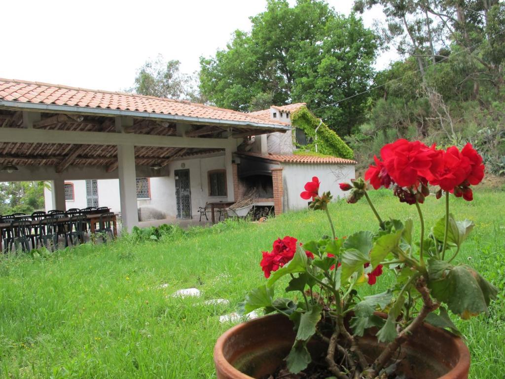 Agriturismo Antica Chiesa San Fantino Torraca Екстериор снимка