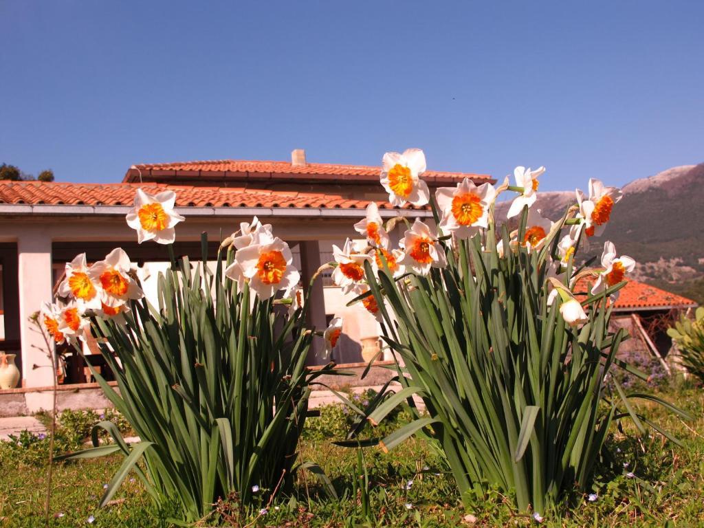 Agriturismo Antica Chiesa San Fantino Torraca Екстериор снимка