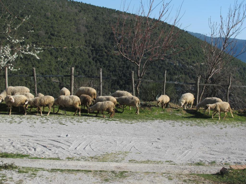 Agriturismo Antica Chiesa San Fantino Torraca Екстериор снимка